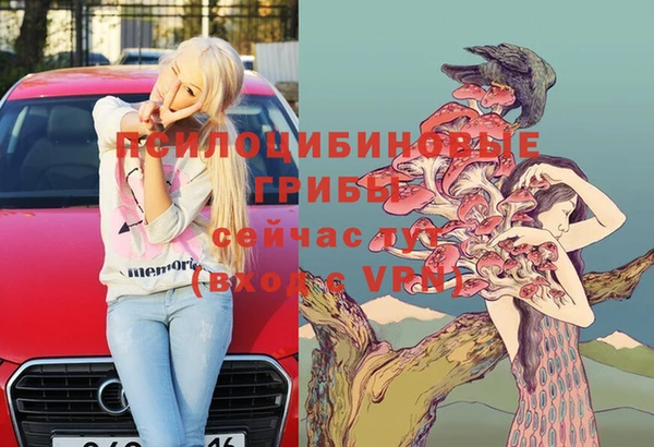 шишки Алексин