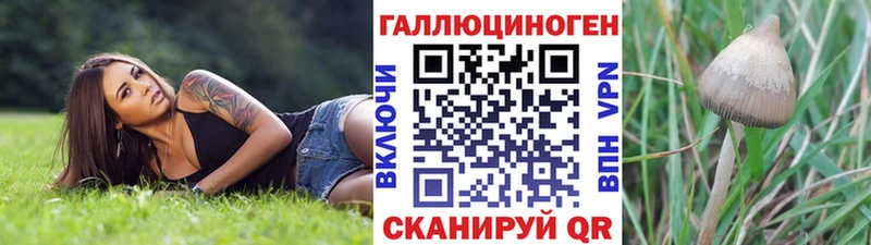 купить наркотики сайты  Павловский Посад  Псилоцибиновые грибы Magic Shrooms 