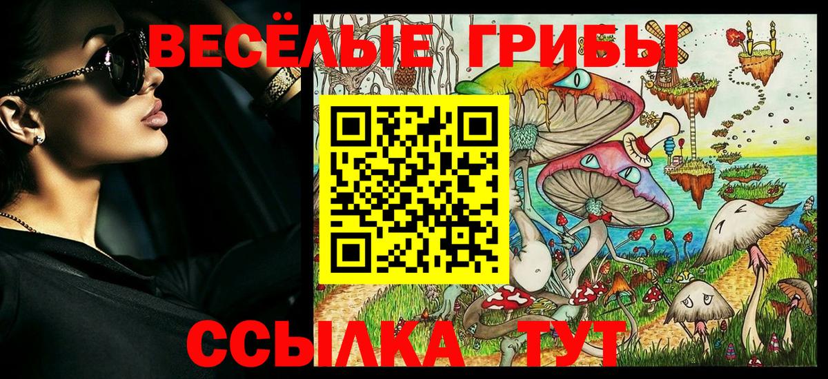 Галлюциногенные грибы мухоморы Павловский Посад