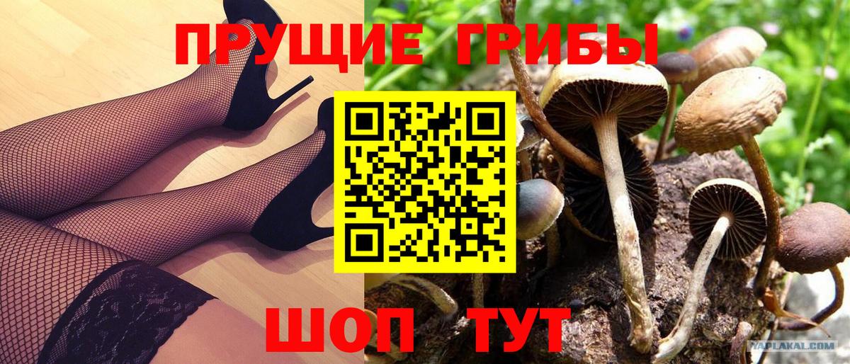 Павловский Посад  Псилоцибиновые грибы Magic Shrooms  Вход с VPN 